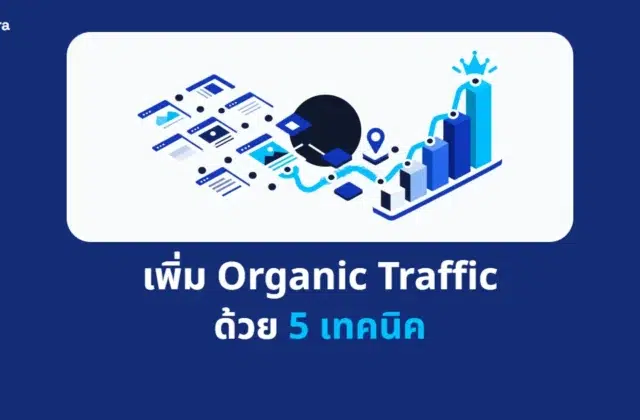 ภาพปกบทความ เพิ่ม Organic Traffic ด้วย 5 เทคนิค จาก Digi Era